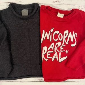 Lot of two Zara girls sweaters